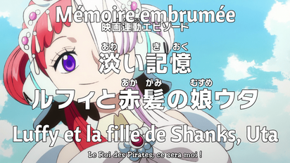 PREVIEW ONE PIECE EPISODE 1029 VOSTFR